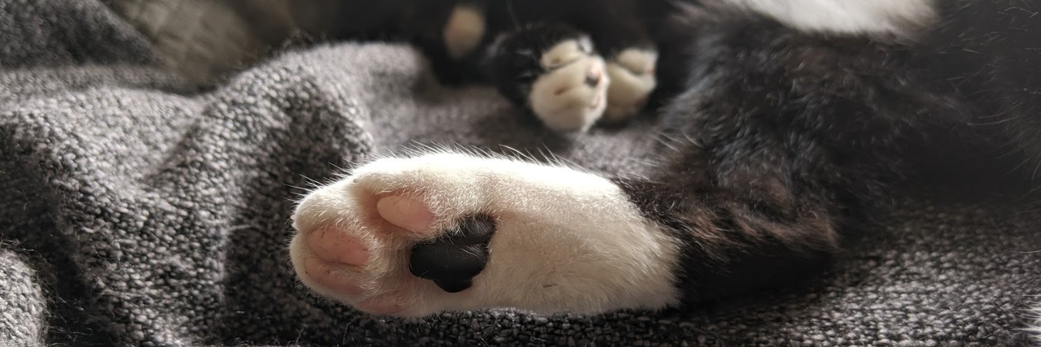 🏳️‍🌈business Colgate/party Ramona🏳️‍⚧️ banner