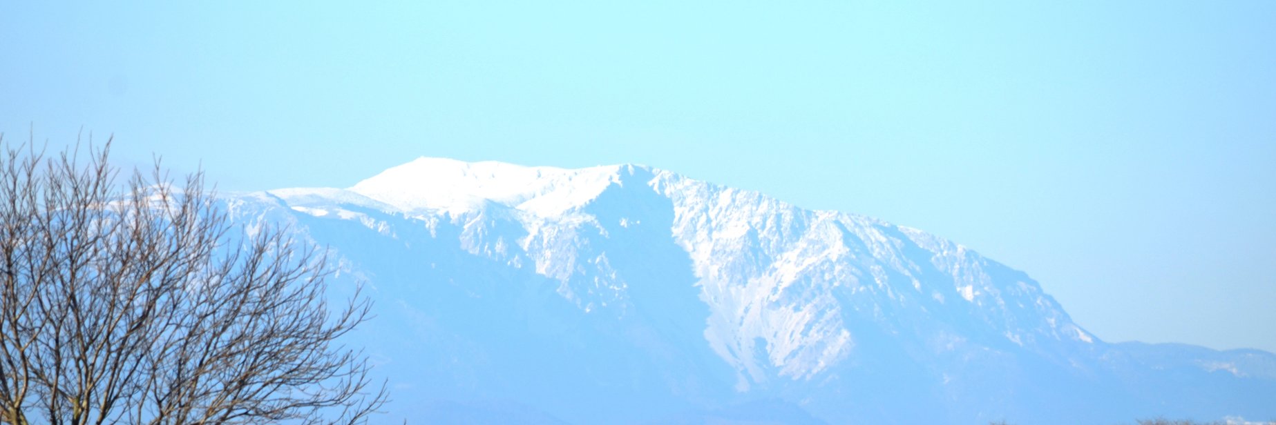 walter schneeberger banner