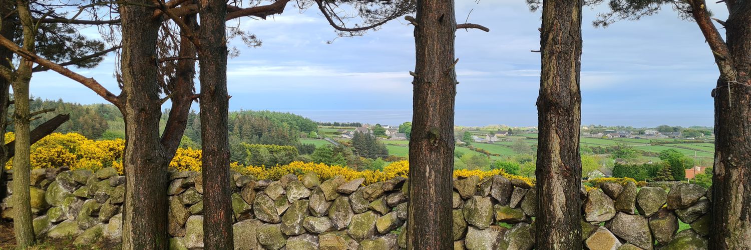 Paula O'Malley banner