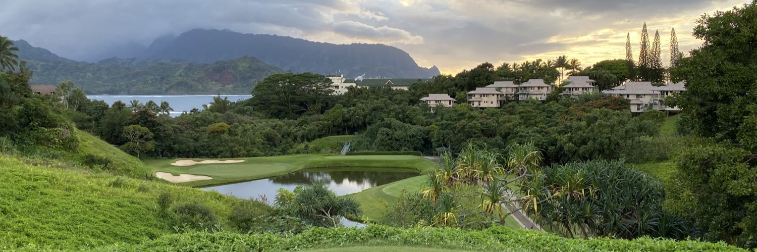 SeanieGolf's profile banner image