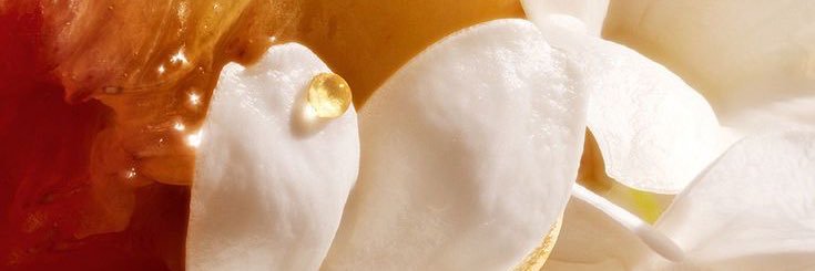 irinamnk_'s profile banner image