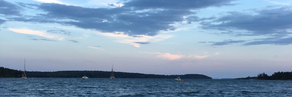 atbirds's profile banner image