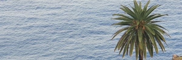 omy_rr Profile Banner