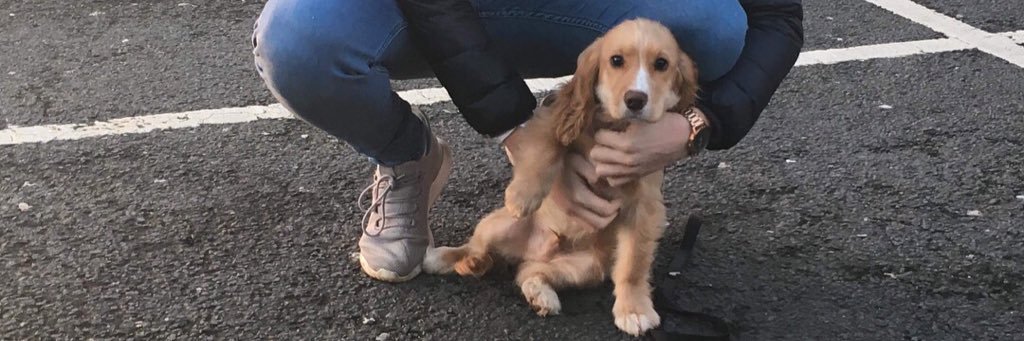 _JackB_'s profile banner image