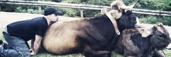 Barthestudios banner