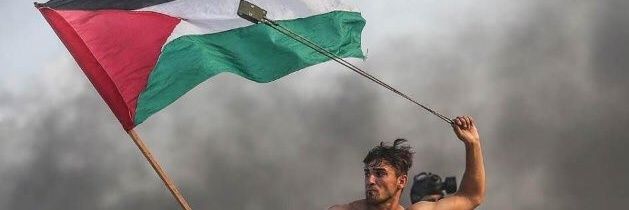 fMartinFu's profile banner image