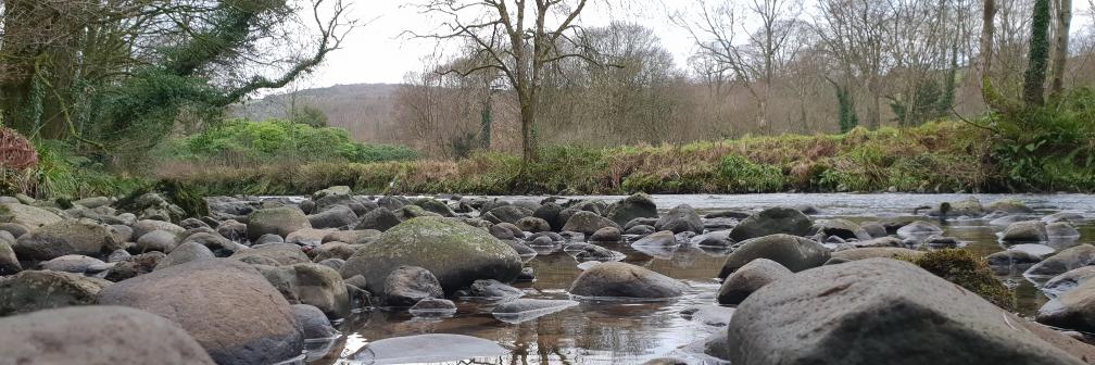 John McGuckin banner