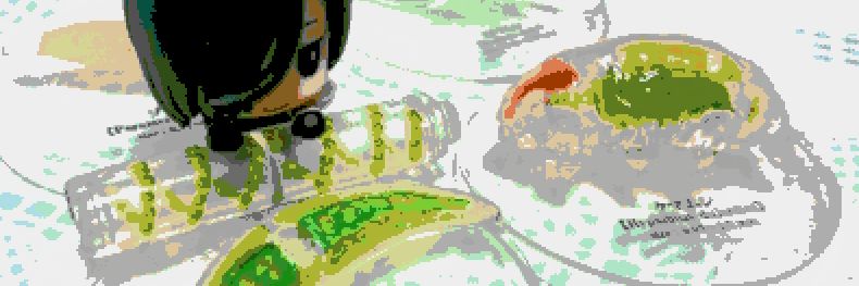 shm_k's profile banner image