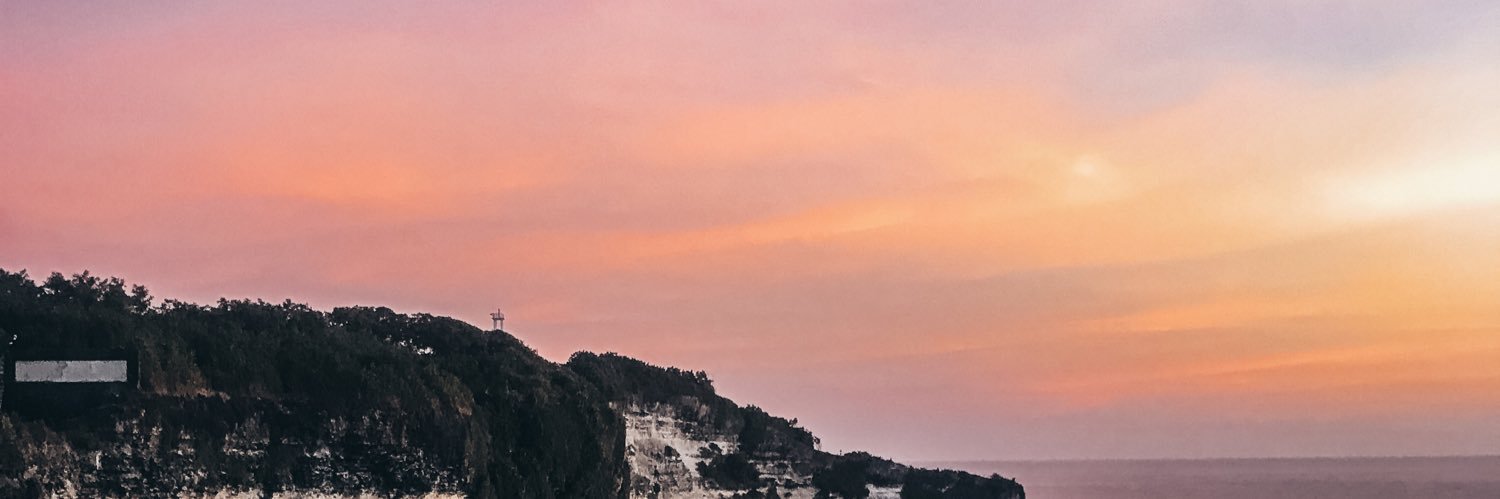 ella padddon - jones banner