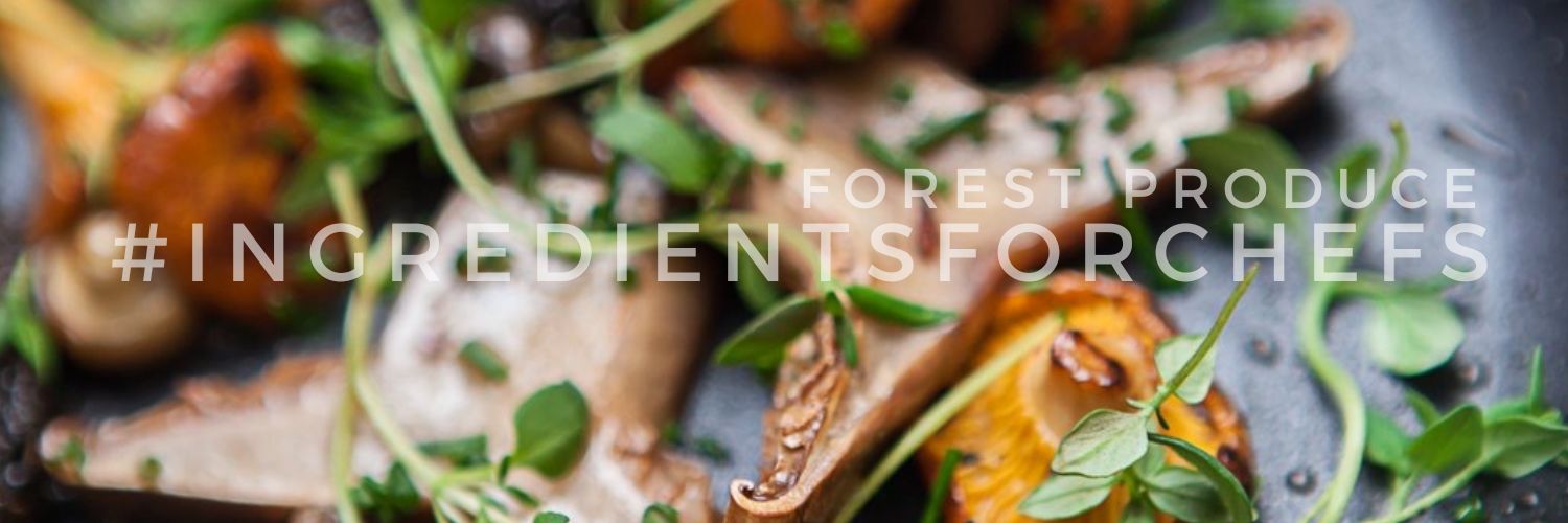 Forest Produce banner