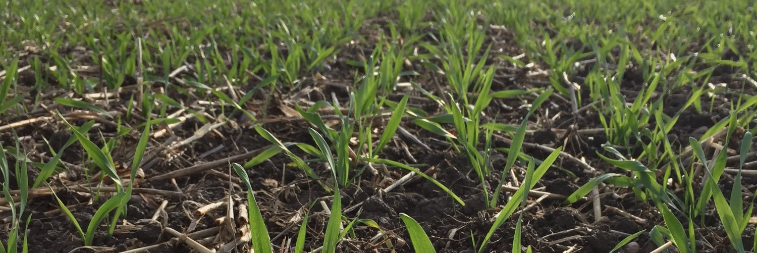 James Cheney banner