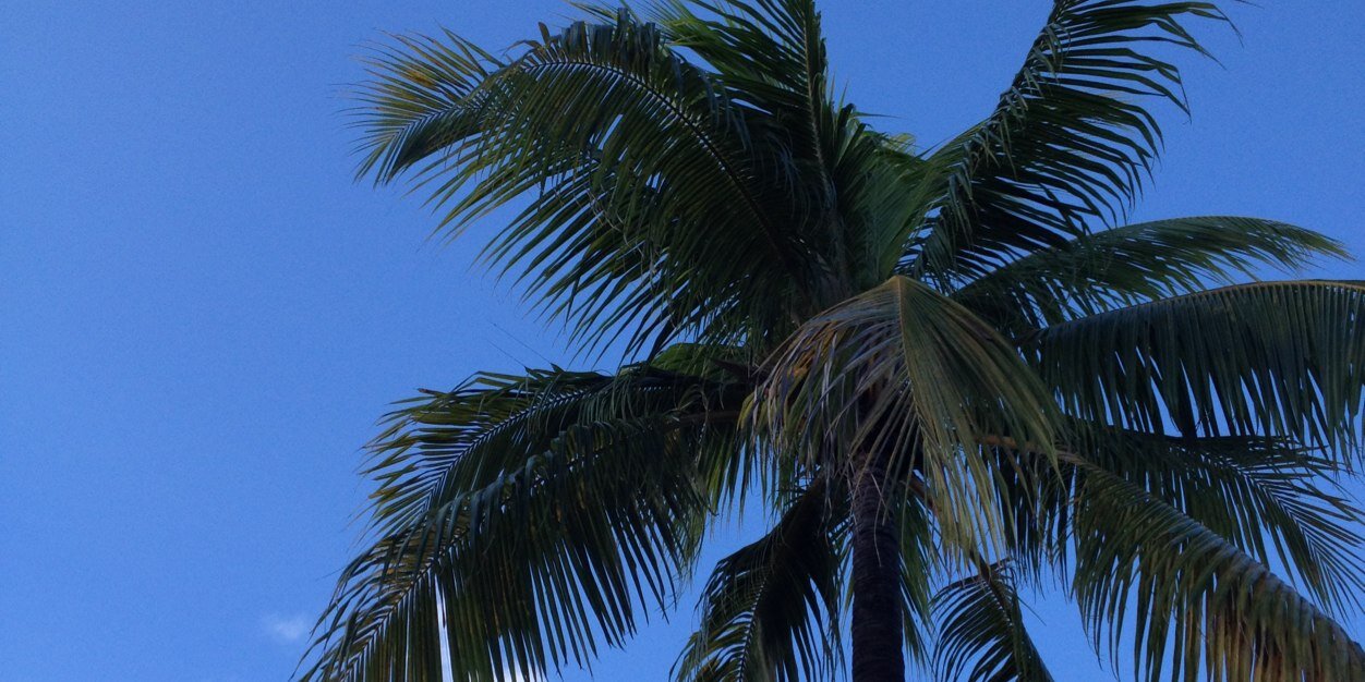 fgamboa's profile banner image