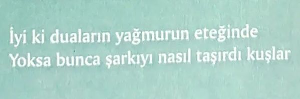 Esma Polat banner