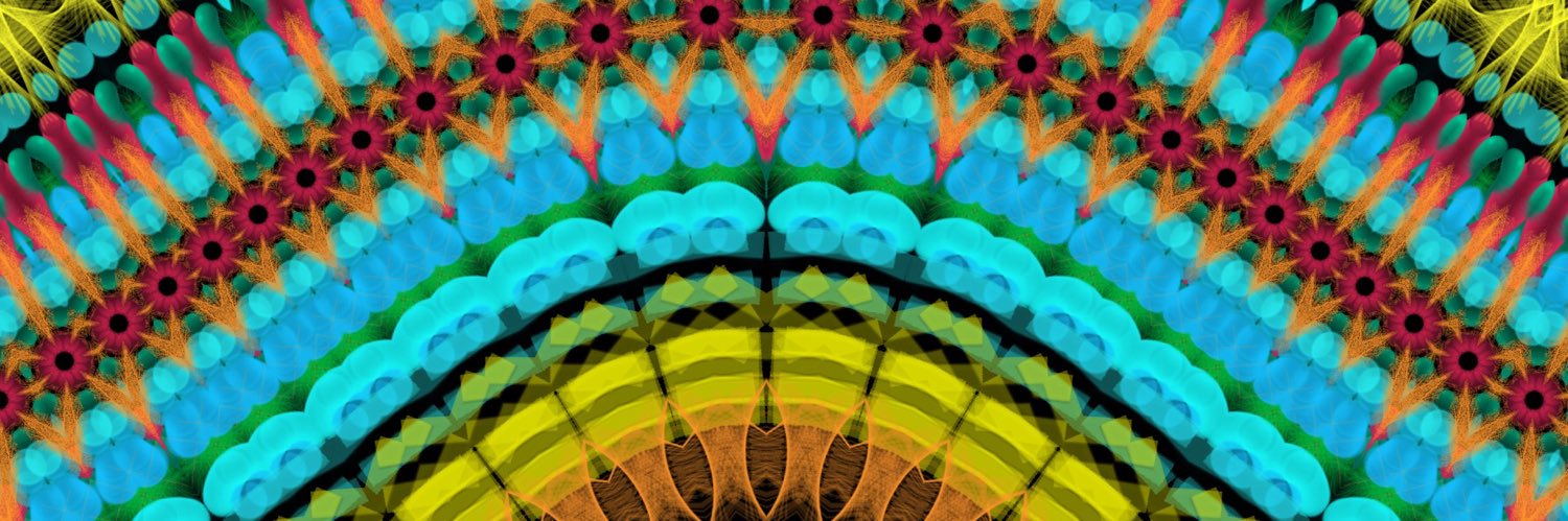 elcolli banner