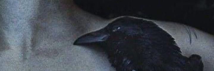 Raven_ruthless's profile banner image