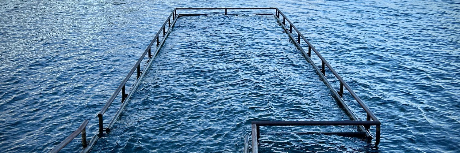 Ignacio Rodríguez de-Rementería banner