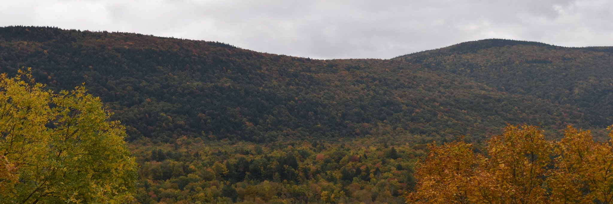 Manchester Journal banner