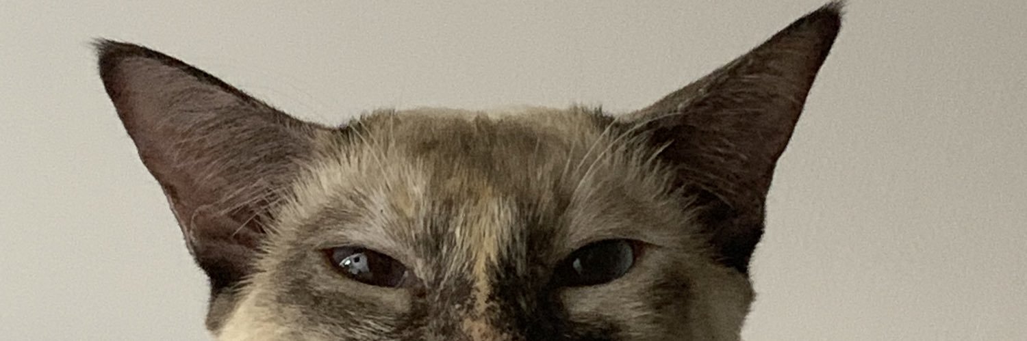 janine3011's profile banner image