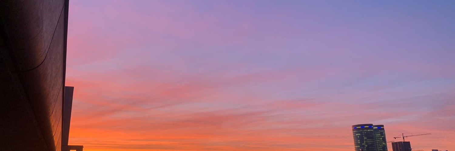 Dirk van der Lit's banner