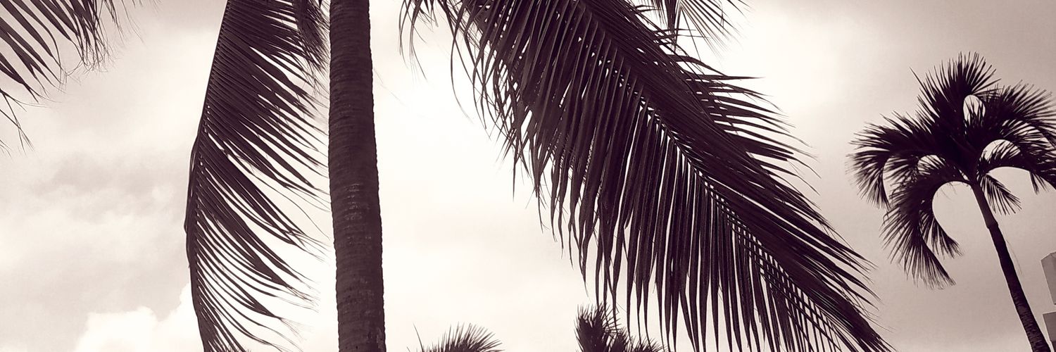 MaarcelaLopez's profile banner image