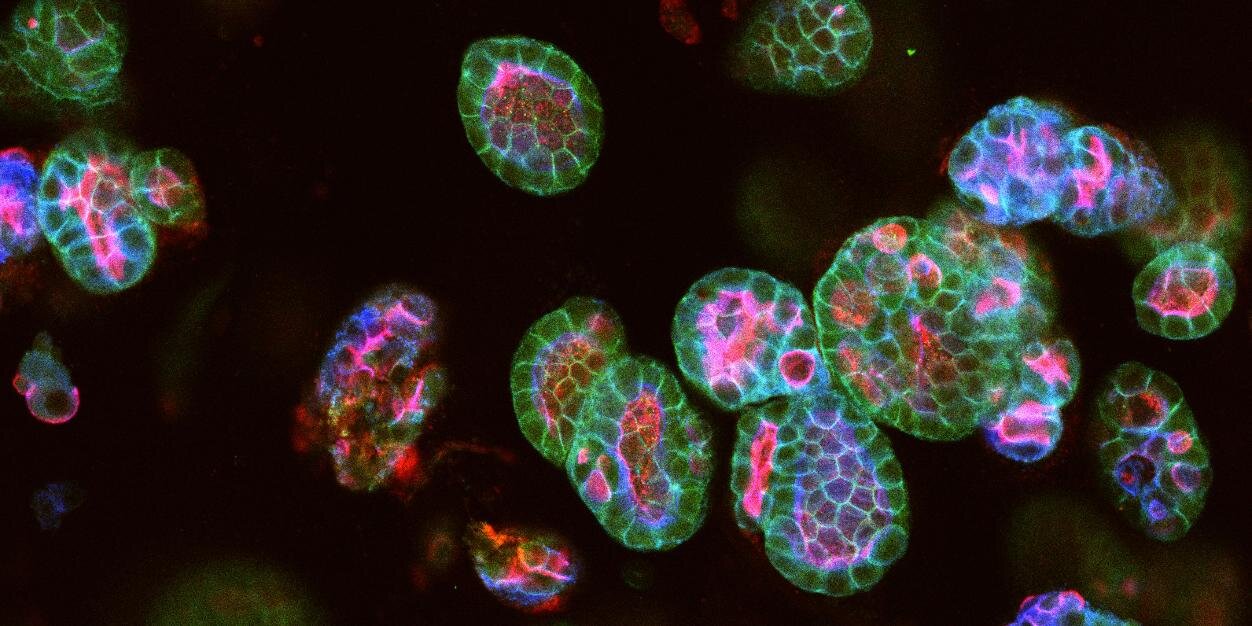 Andrew Porter banner