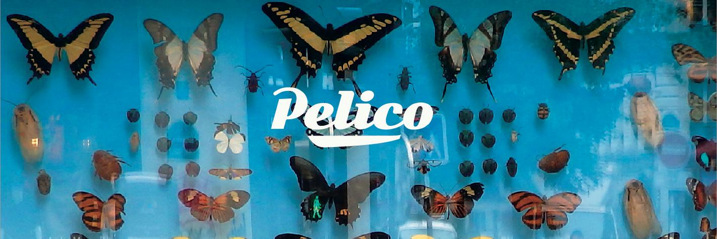 Pelicomusic's profile banner image