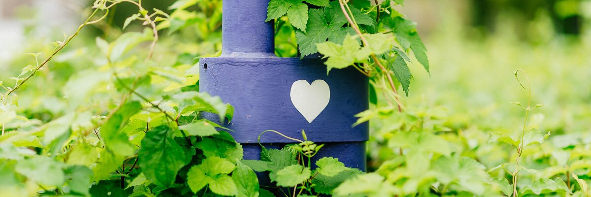 Nadesha_D's profile banner image