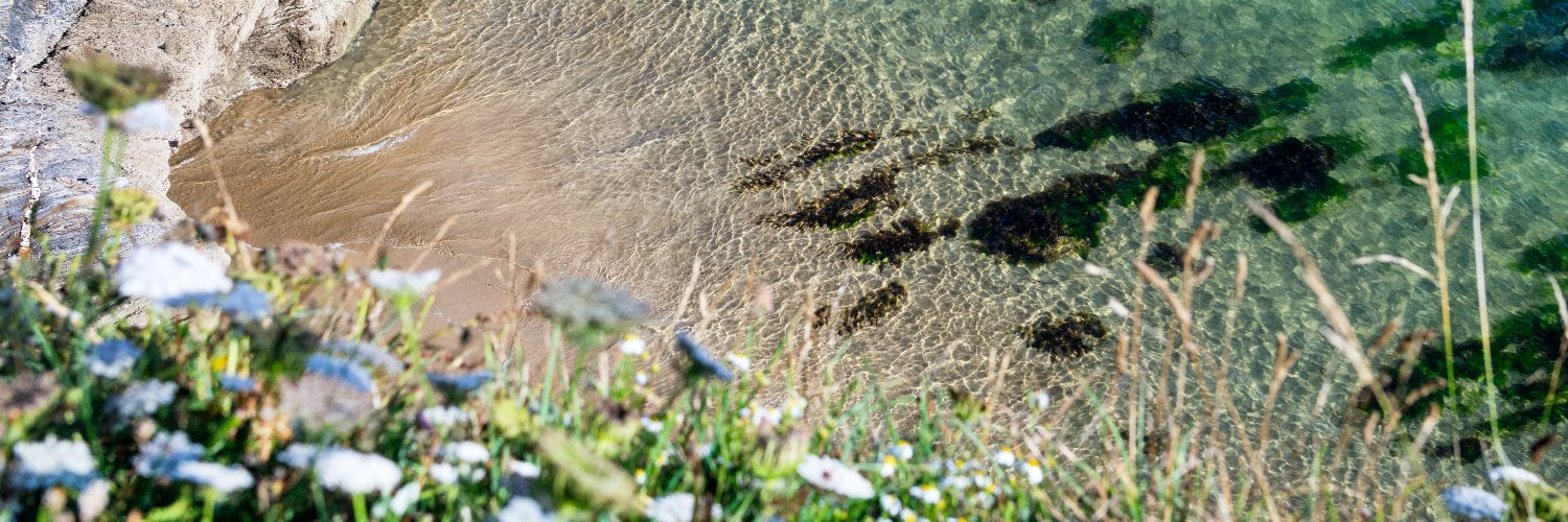 invest_cornwall's profile banner image
