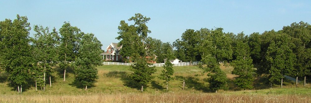 Thomas Pickles banner