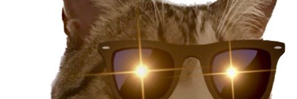 dora_neco Profile Banner