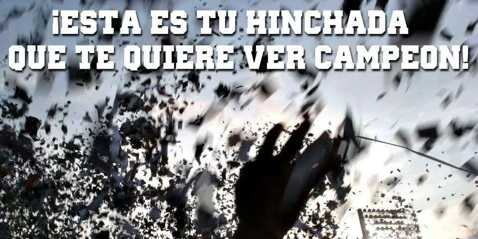 LOCO X EL ALBO banner