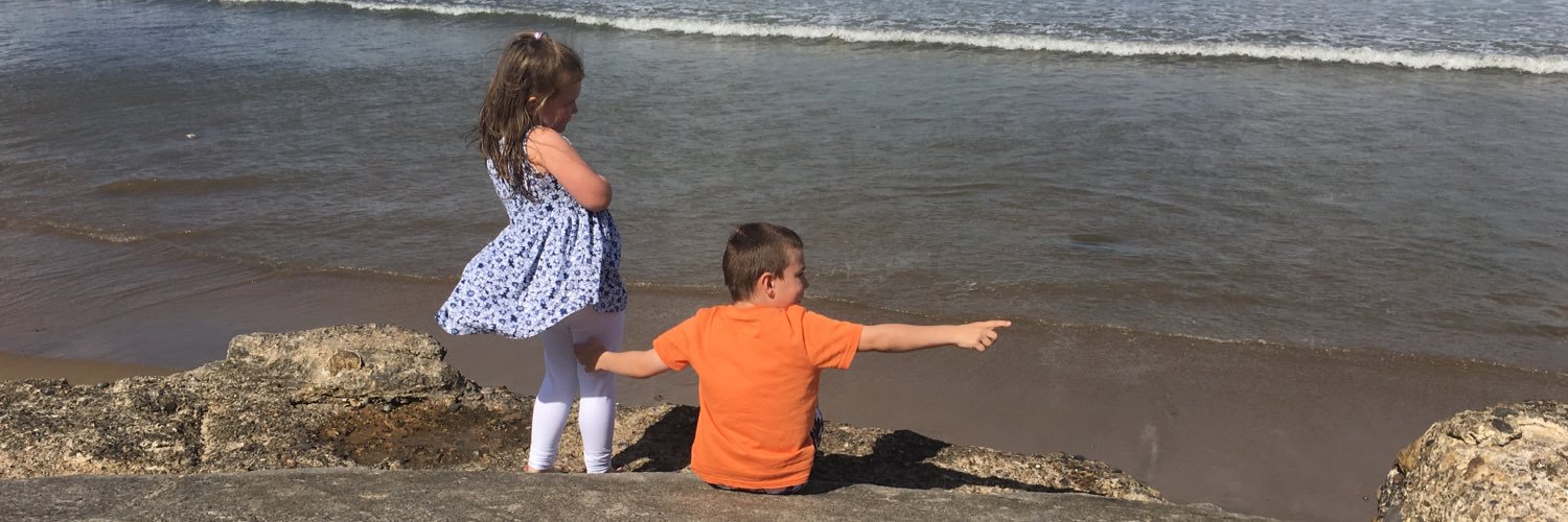 Di Flatt FCIoF FRSA banner