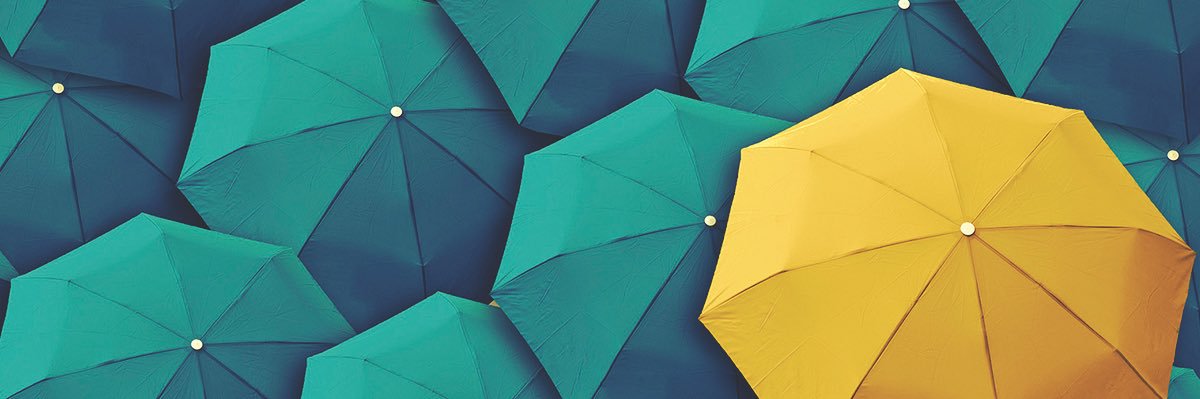 Christine Bruce banner