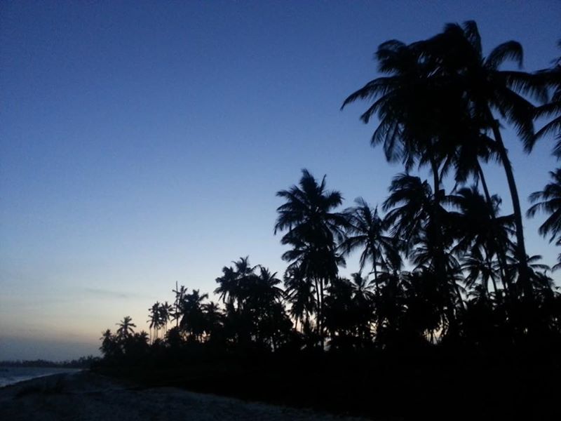 hilkejansen's profile banner image