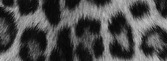 joopalettaa's profile banner image