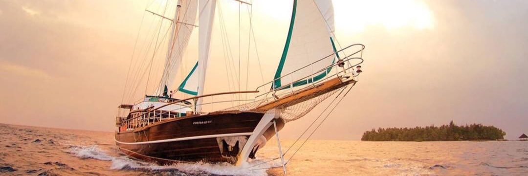 AL_3SAIMI's profile banner image