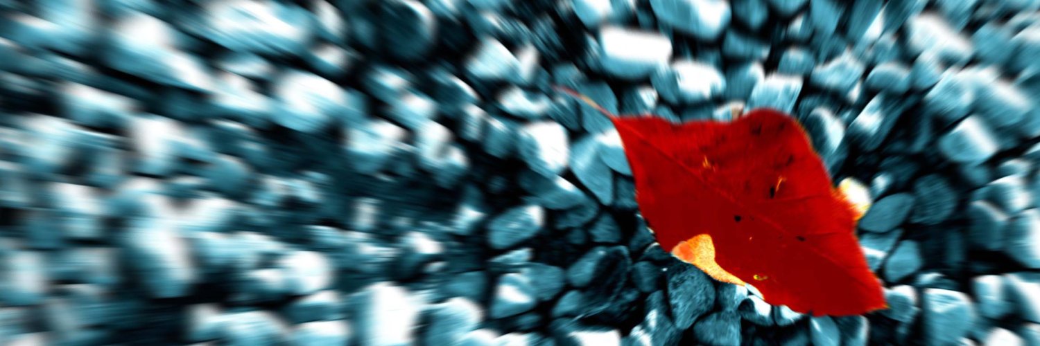 achtQuark's profile banner image