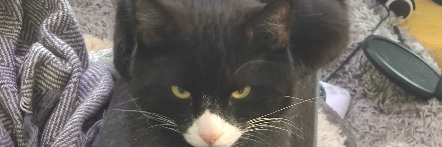 CopyScrawler's profile banner image