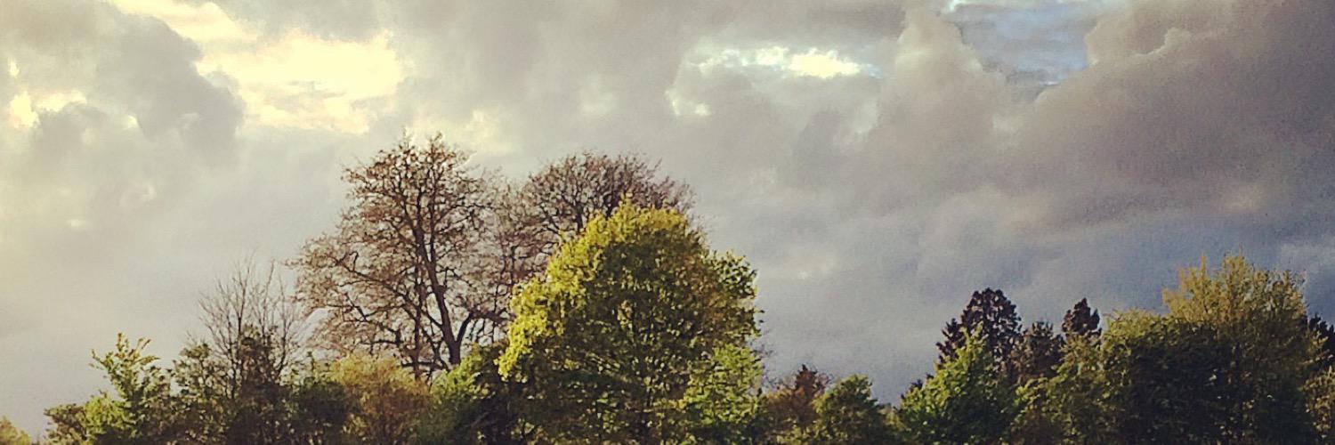 iainhs's profile banner image
