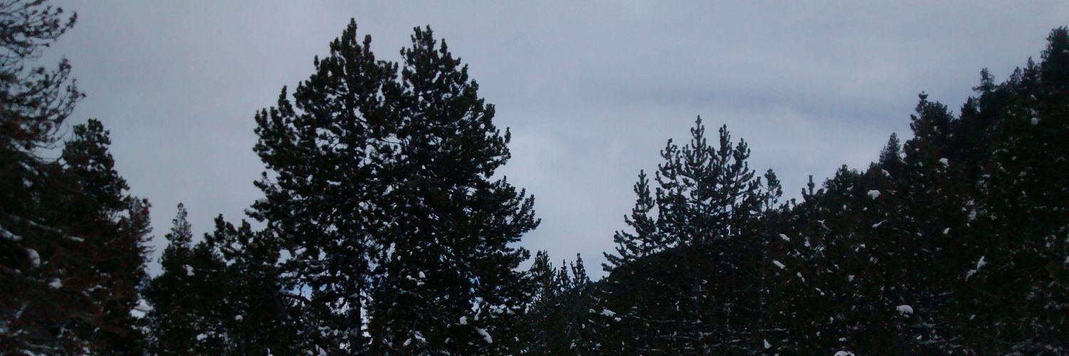 bcnflop's profile banner image