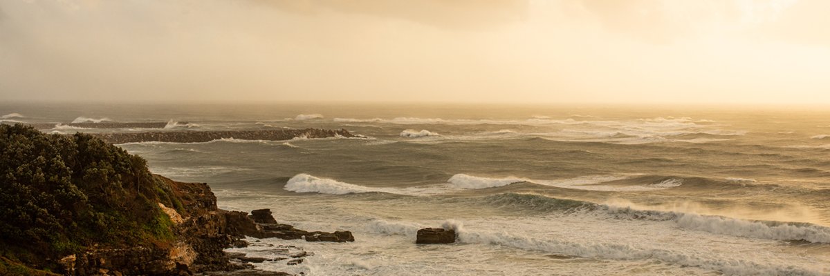 Soraya Selinger banner