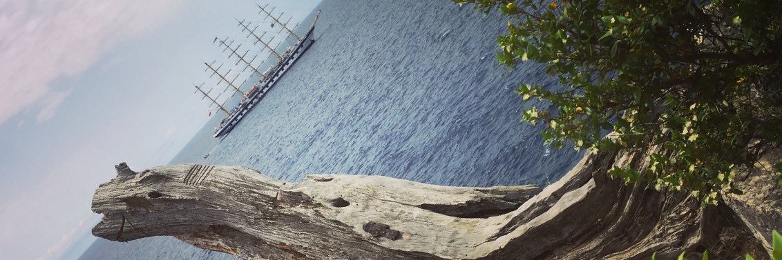 Aaron Nicol banner