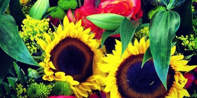 KayMilannnnnn's profile banner image