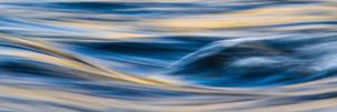 Meghan's banner
