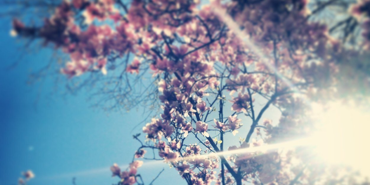 PriyankaRisingh's profile banner image