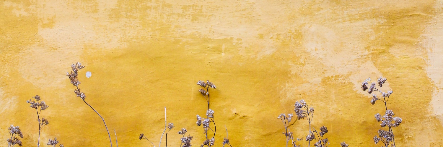 Patricia Crespo banner