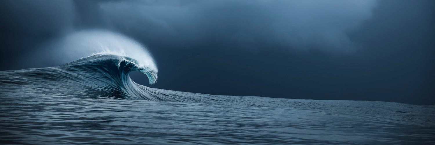 🇫🇷 The One ⓩ banner