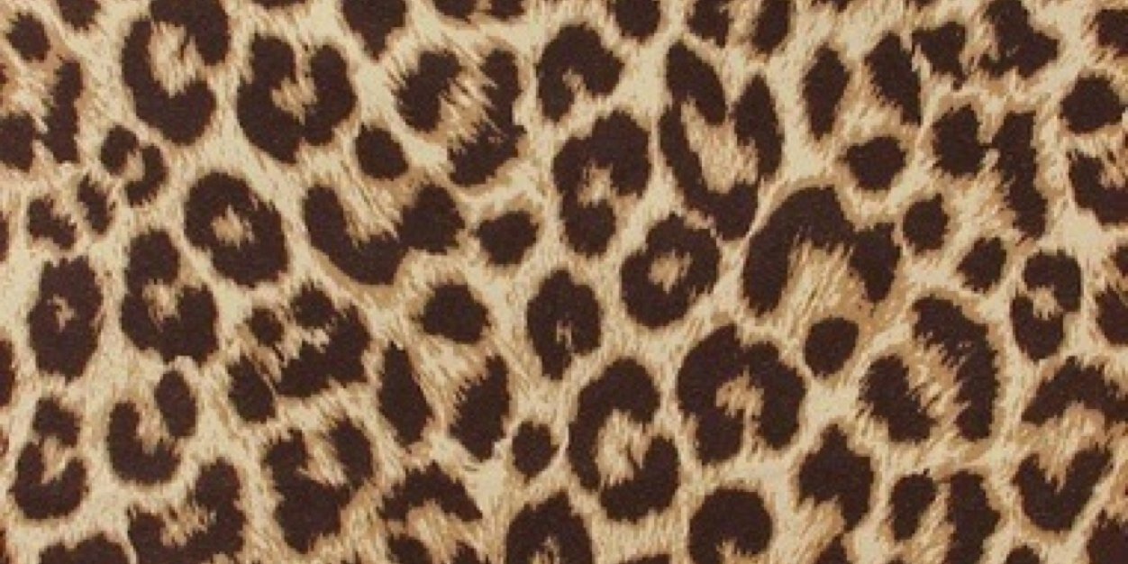 Romyyyx3's profile banner image