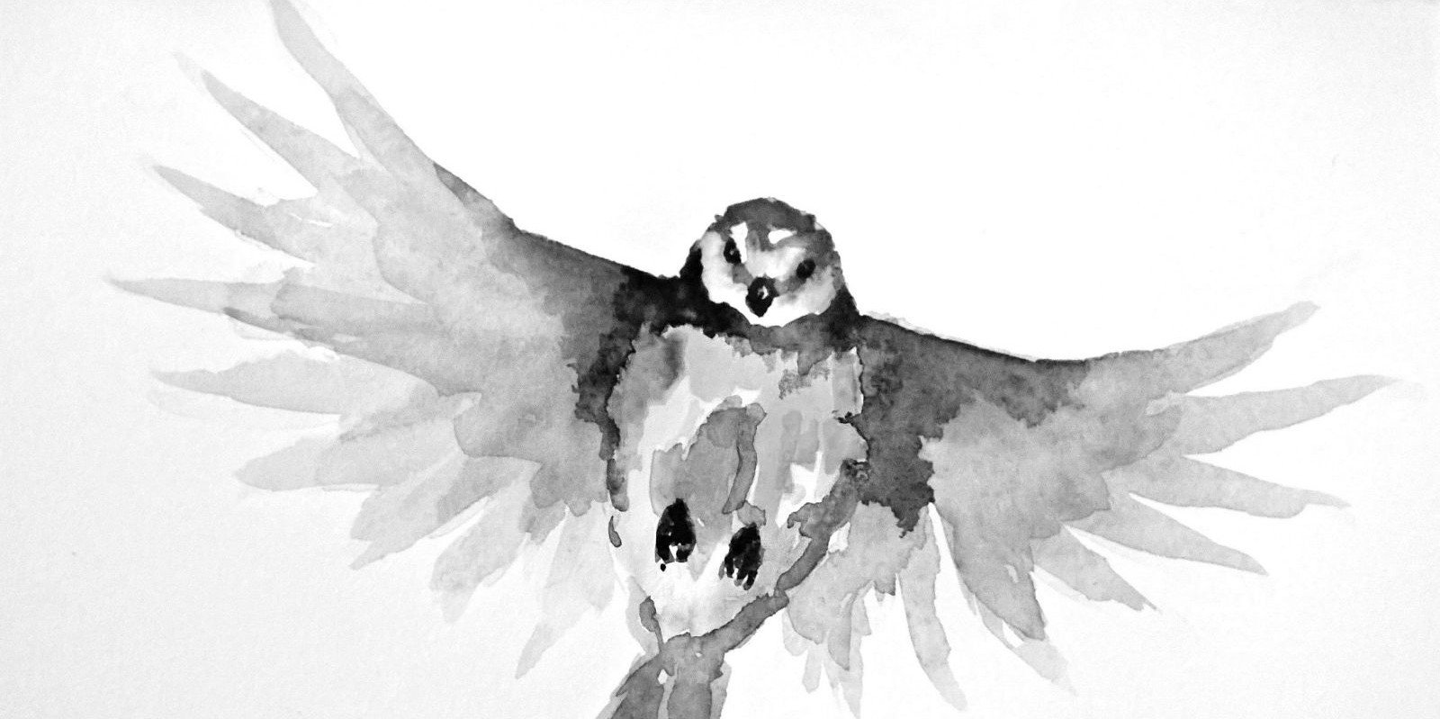 AnnSyk's profile banner image