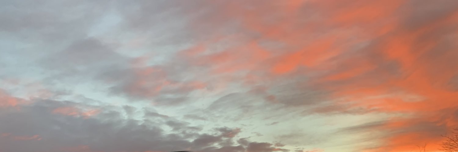 ImHischild4ever's profile banner image